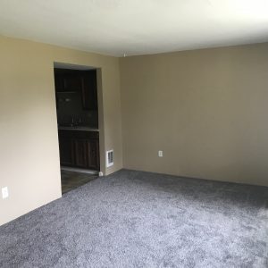 1 Bedroom 1 Bathroom 14th St. Clarkston