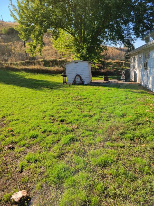 3 Bedroom 1 Bedroom on Heritage Rd. Lapwai - Image 7